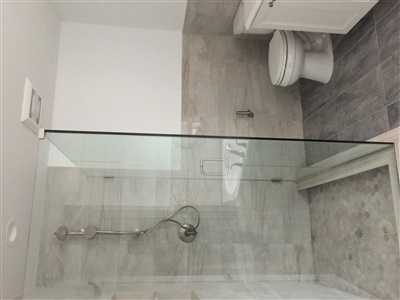 shower and toilet bathroom remodeling